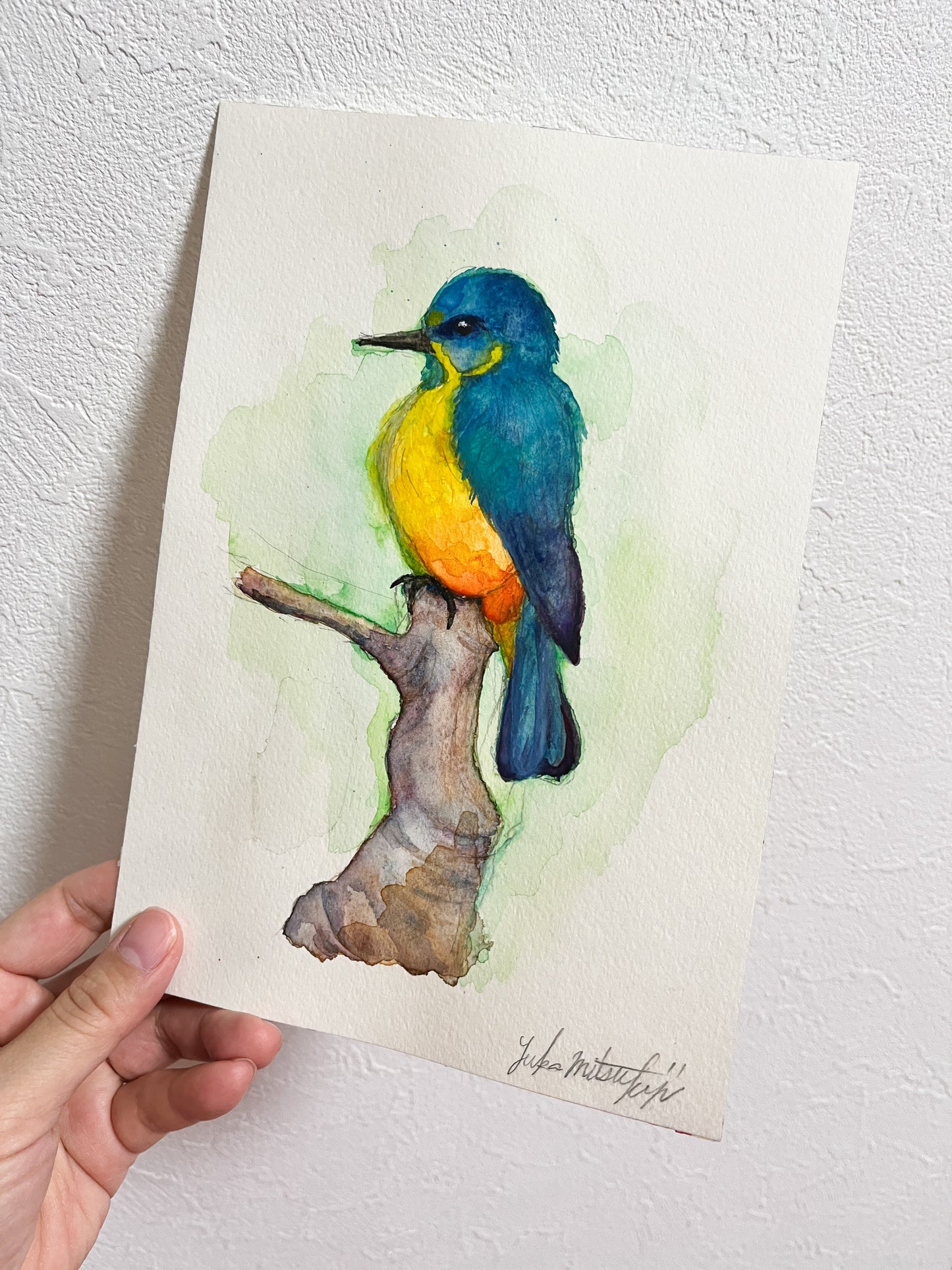 Realistic pencil drawing "Grapefruit" on SM size high-quality watercolor paper