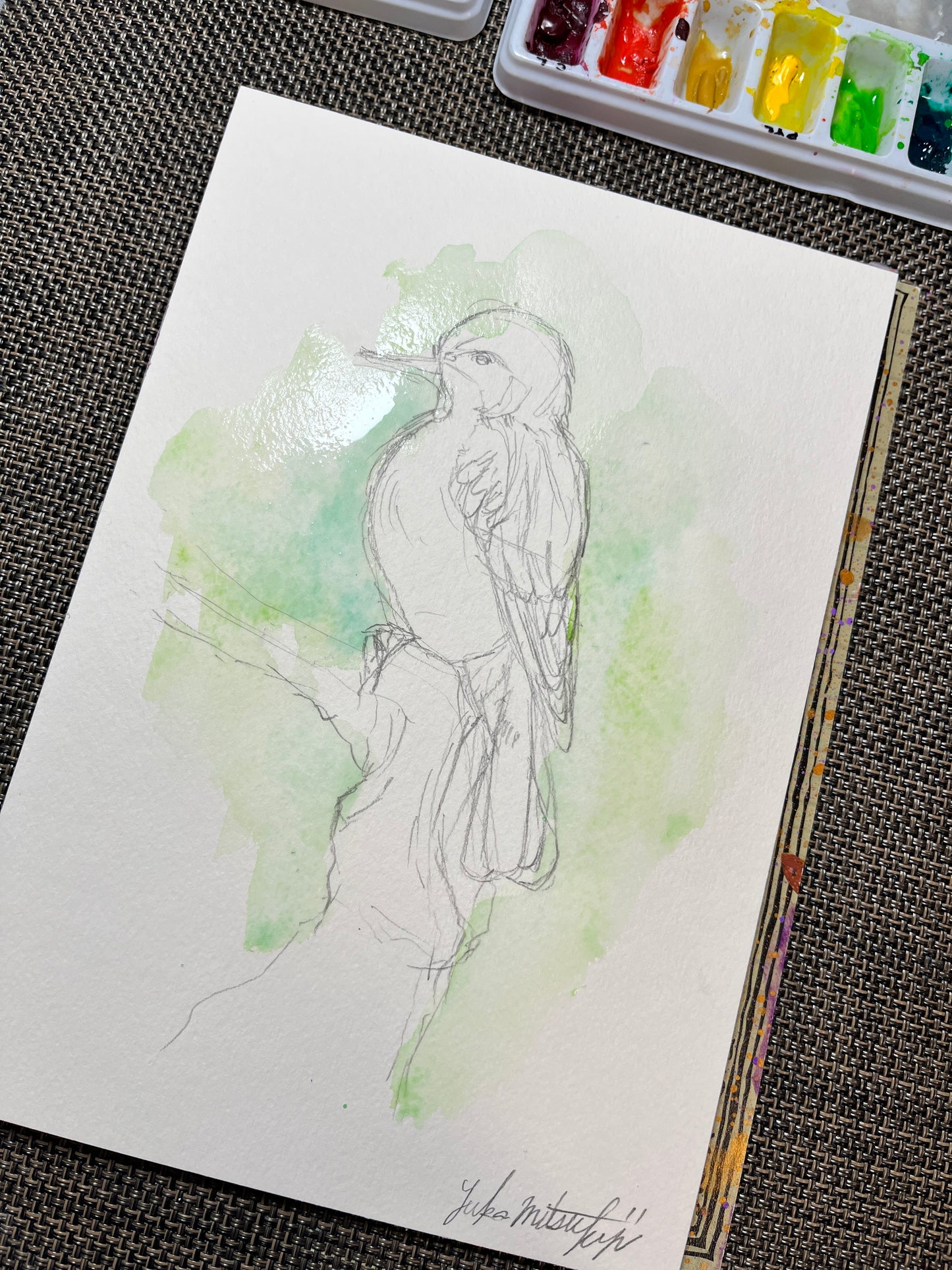 用鉛筆在SM尺寸高品質水彩紙上繪製的逼真「葡萄柚」素描