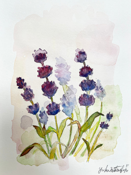 「ラベンダー」 ボタニカルアート B5サイズ 水彩 高級水彩紙