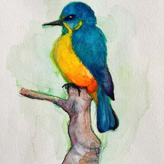 用鉛筆在SM尺寸高品質水彩紙上繪製的逼真「葡萄柚」素描