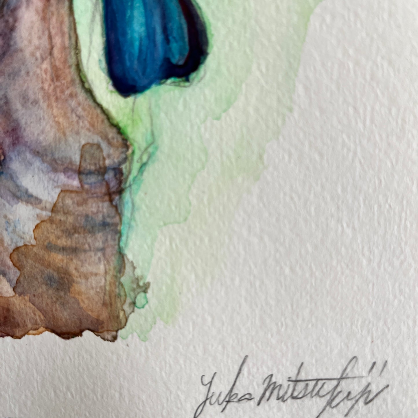 用鉛筆在SM尺寸高品質水彩紙上繪製的逼真「葡萄柚」素描