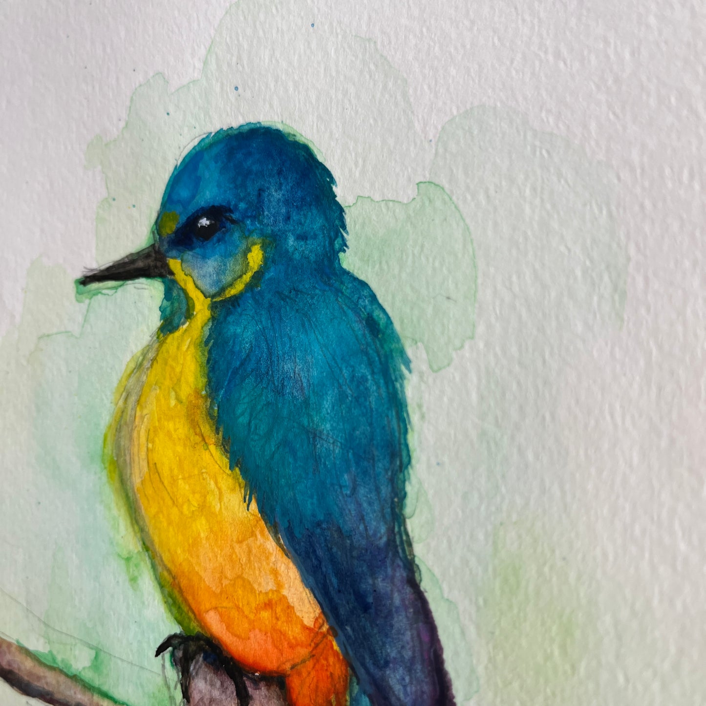 用鉛筆在SM尺寸高品質水彩紙上繪製的逼真「葡萄柚」素描