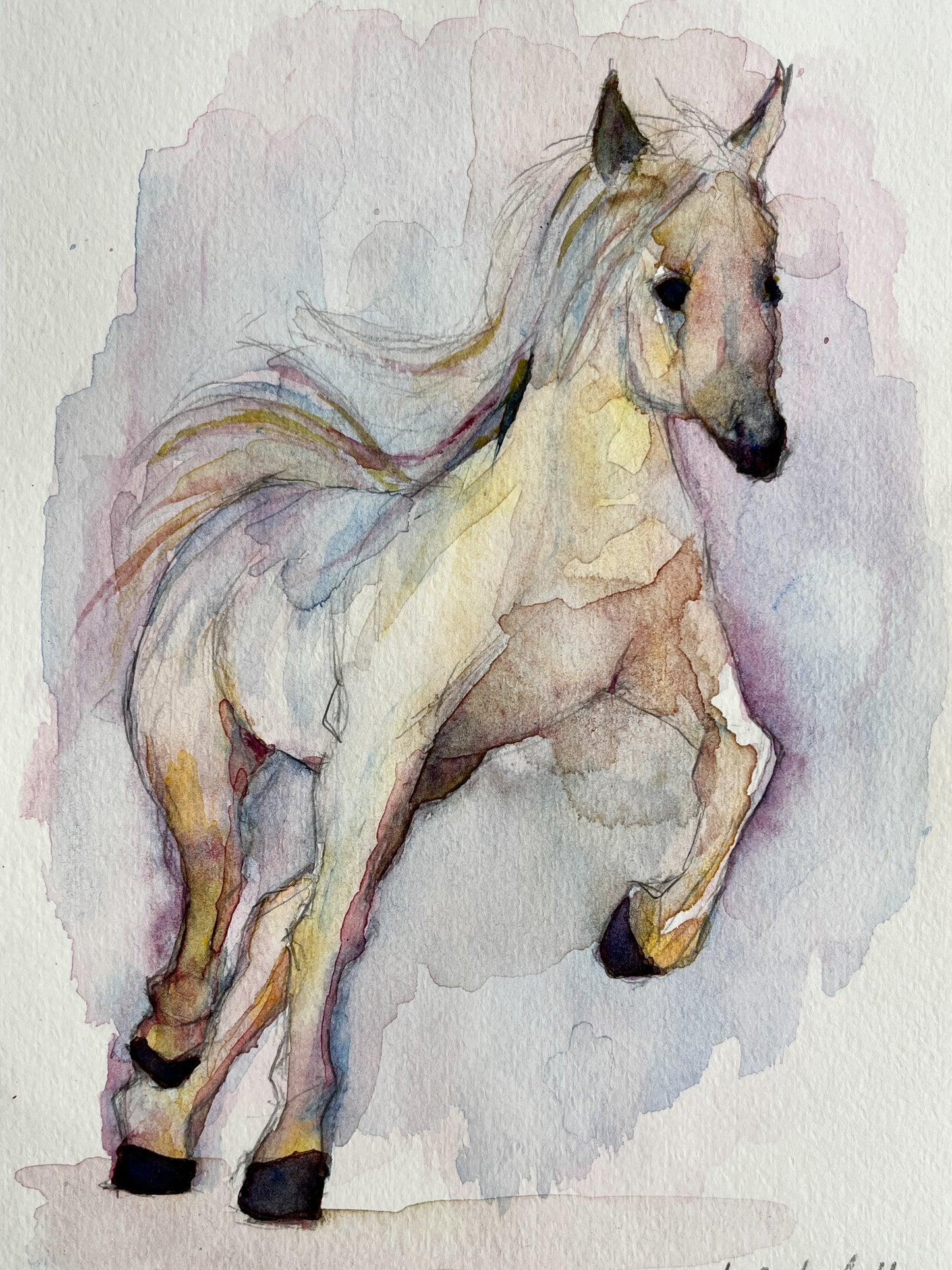 「走る馬」 SMサイズ 水彩 高級水彩紙