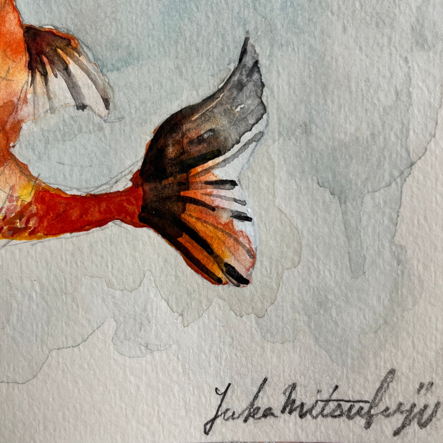 「朱文金」 SMサイズ 水彩 高級水彩紙