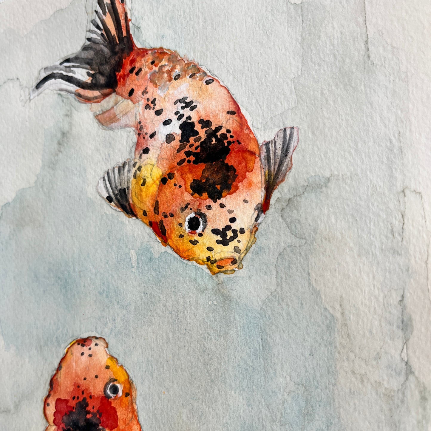 「朱文金」 SMサイズ 水彩 高級水彩紙