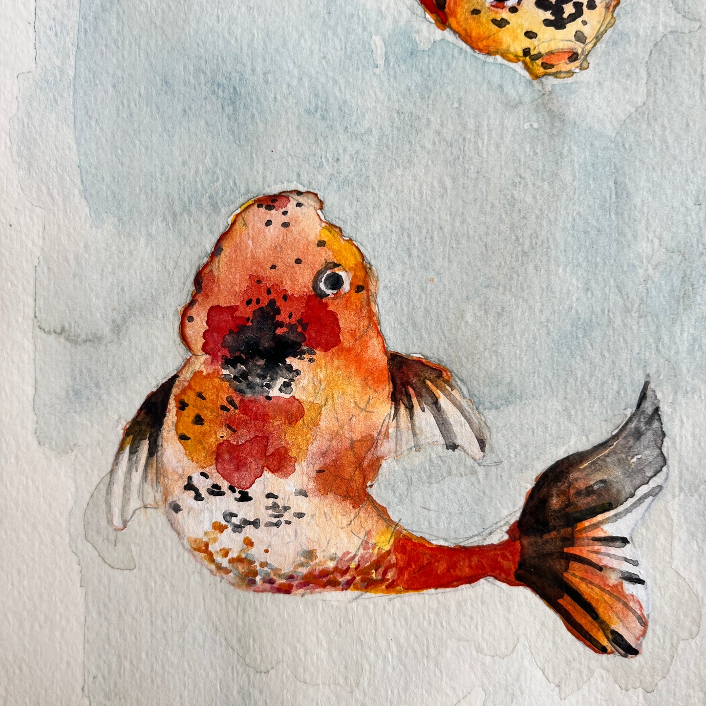 「朱文金」 SMサイズ 水彩 高級水彩紙