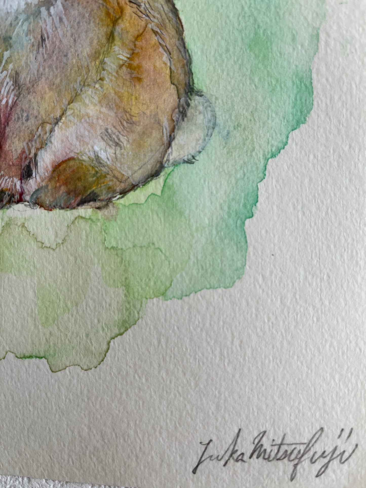 「野うさぎ」 SMサイズ 水彩 高級水彩紙