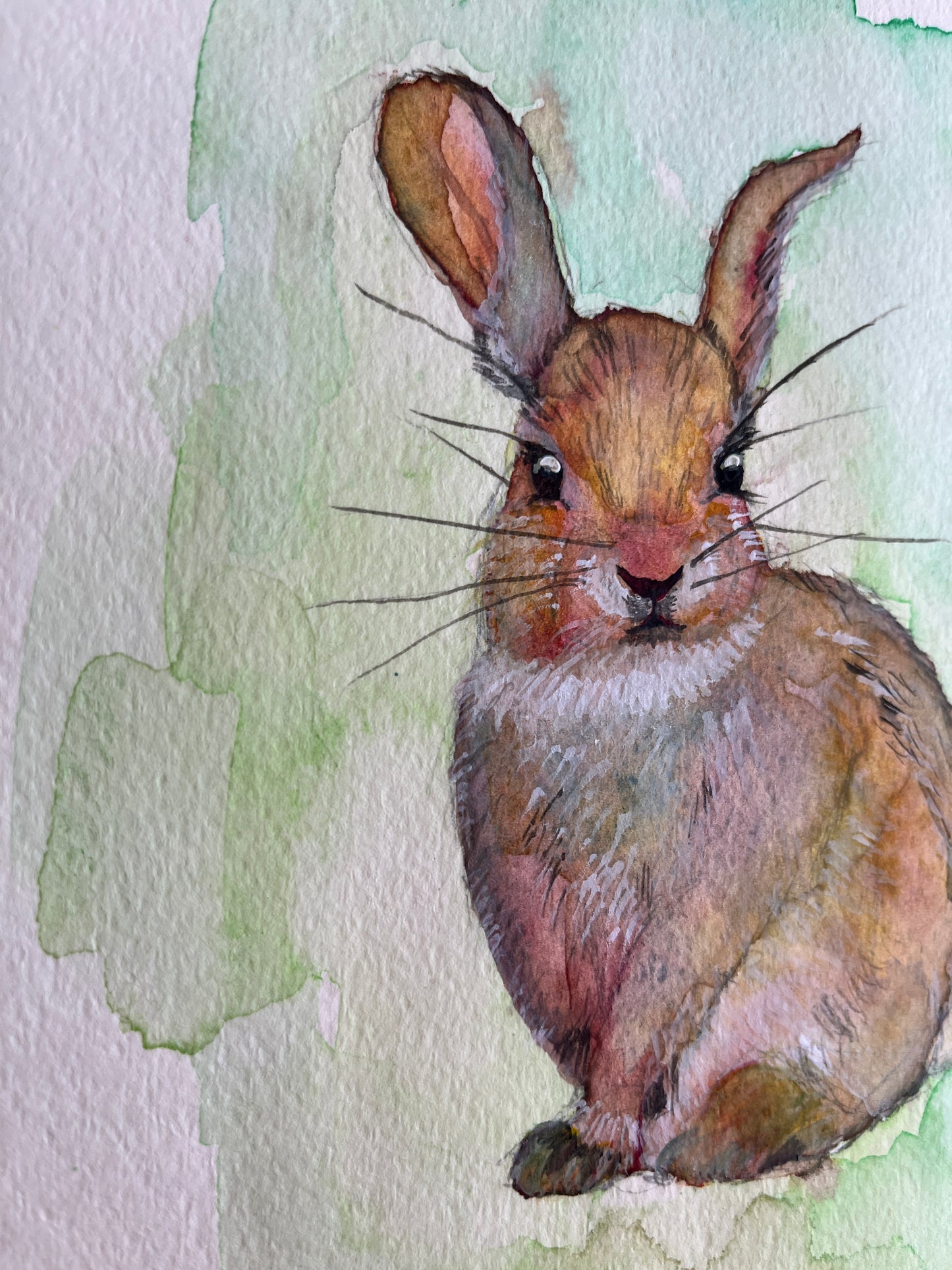「野うさぎ」 SMサイズ 水彩 高級水彩紙