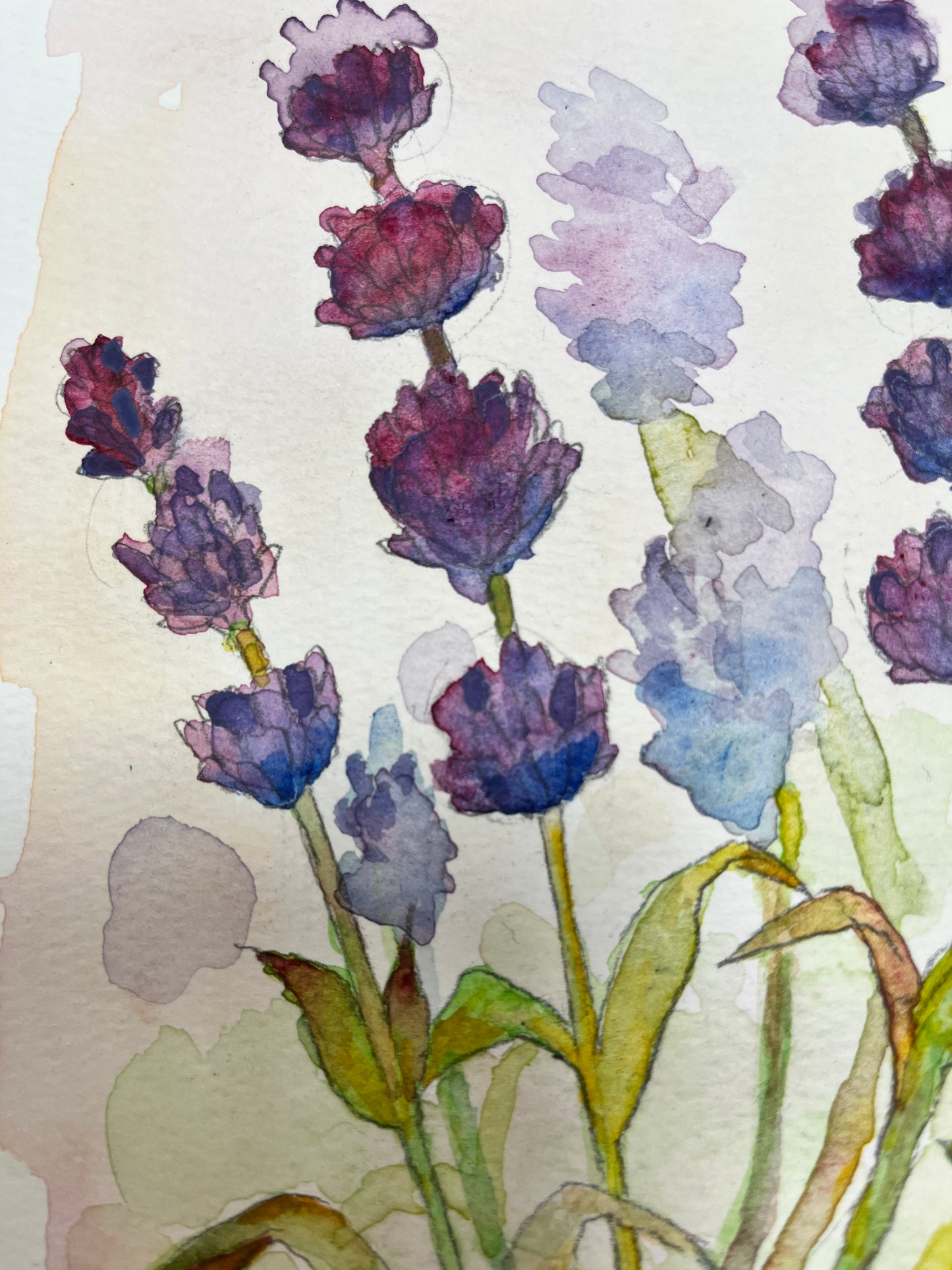 「ラベンダー」 ボタニカルアート B5サイズ 水彩 高級水彩紙