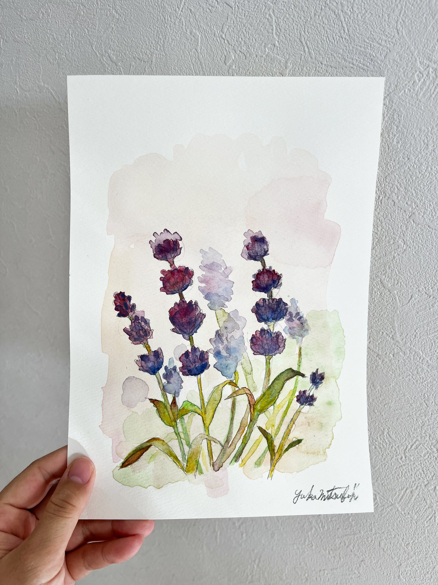 「ラベンダー」 ボタニカルアート B5サイズ 水彩 高級水彩紙