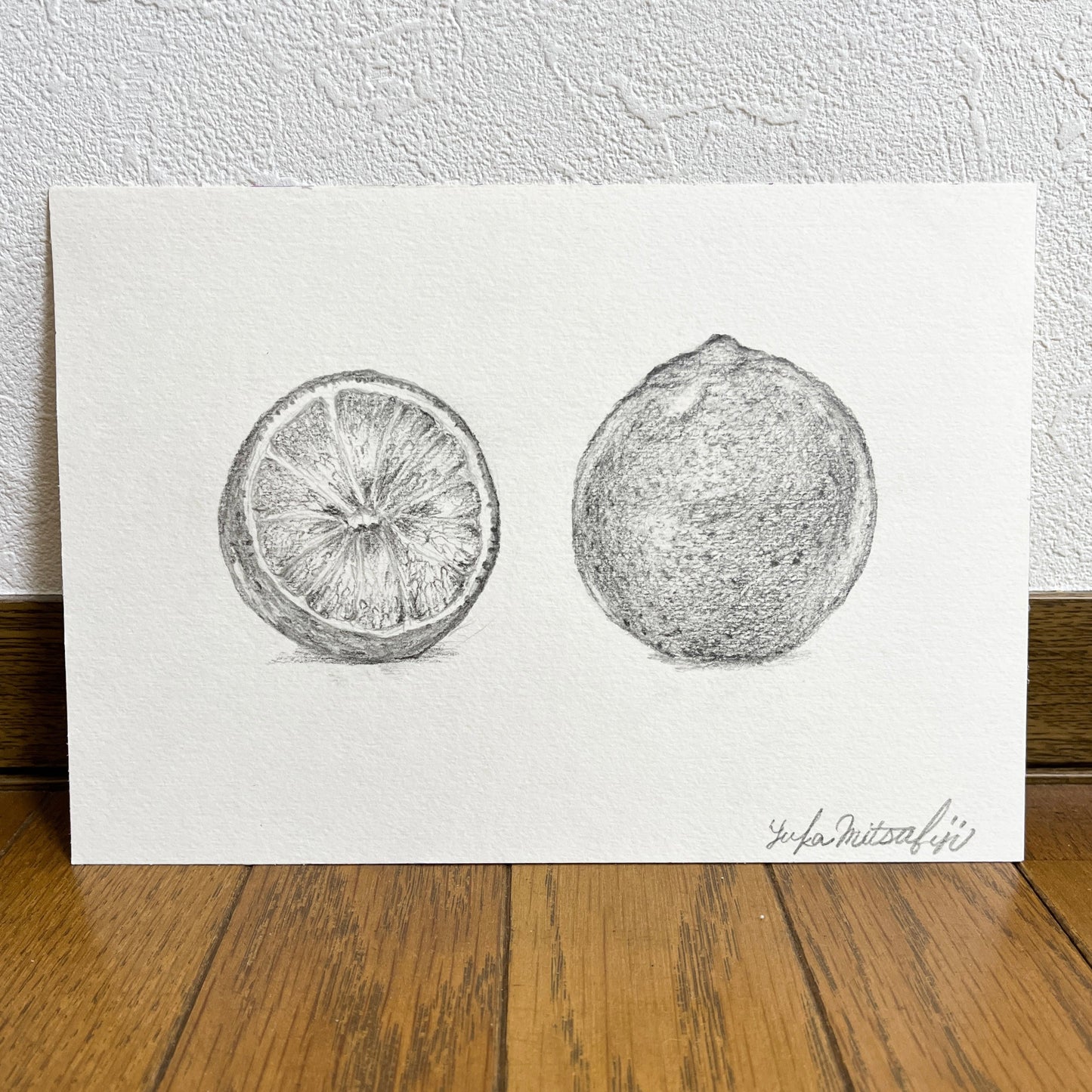 写実 鉛筆画 グレープフルーツの絵 SM水彩紙 | Grapefruit  [Free Shipping]