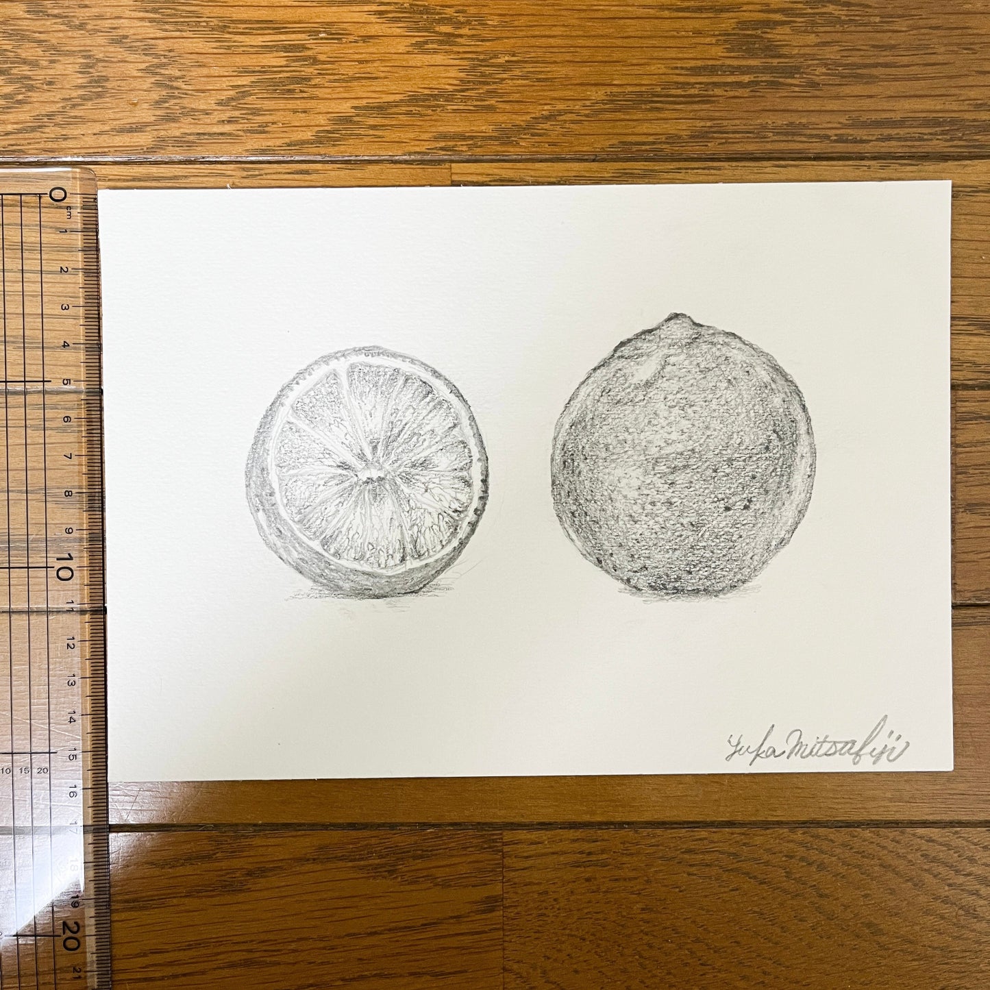 写実 鉛筆画 グレープフルーツの絵 SM水彩紙 | Grapefruit  [Free Shipping]