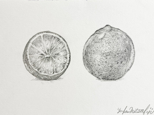 写実 鉛筆画 グレープフルーツの絵 SM水彩紙 | Grapefruit  [Free Shipping]