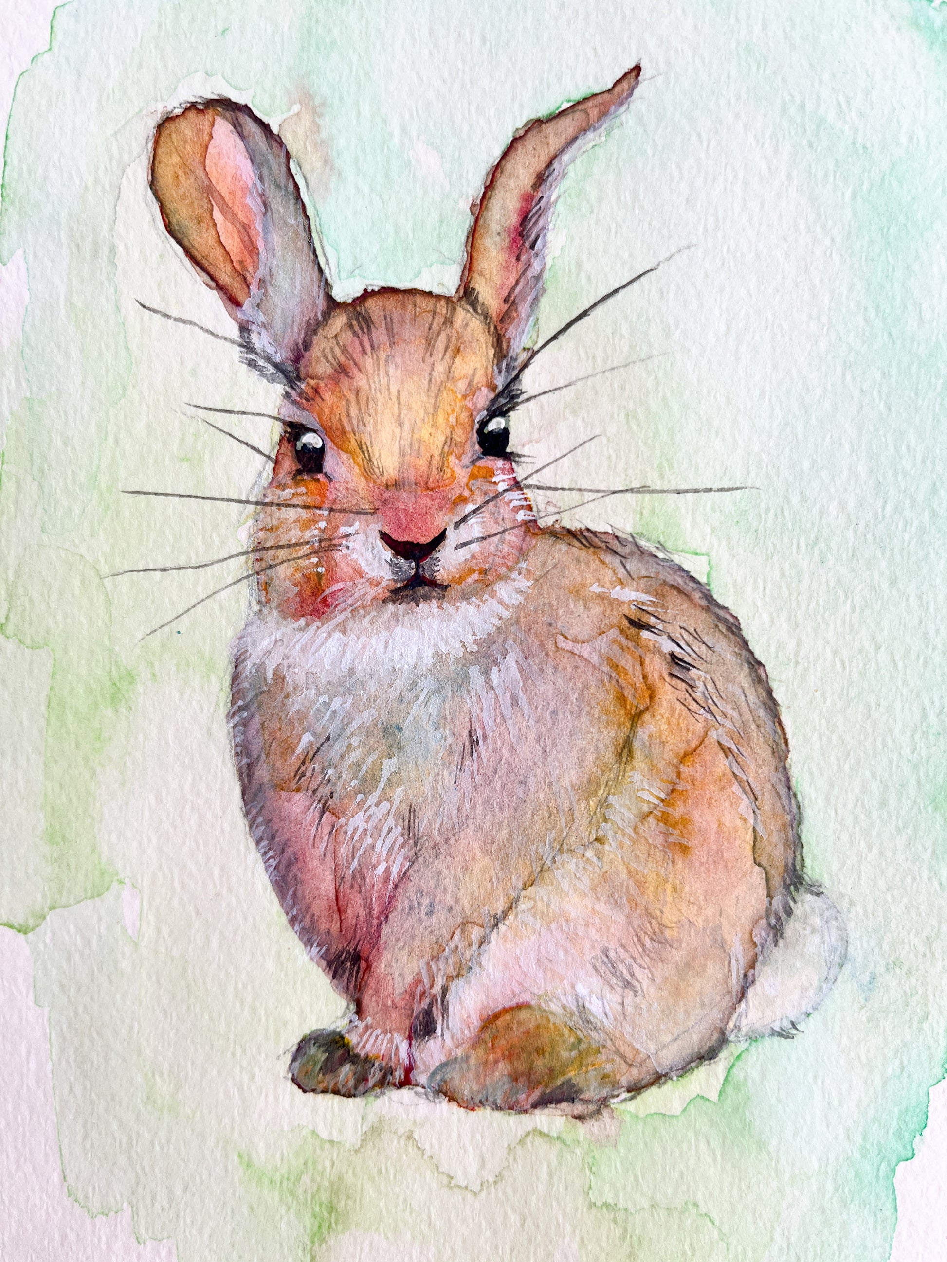 Yuka Mitsufuji（ミツフジユカ）による野うさぎの水彩画。透明水彩絵の具を使用。プロ専用紙による紙の風合いも美しい。