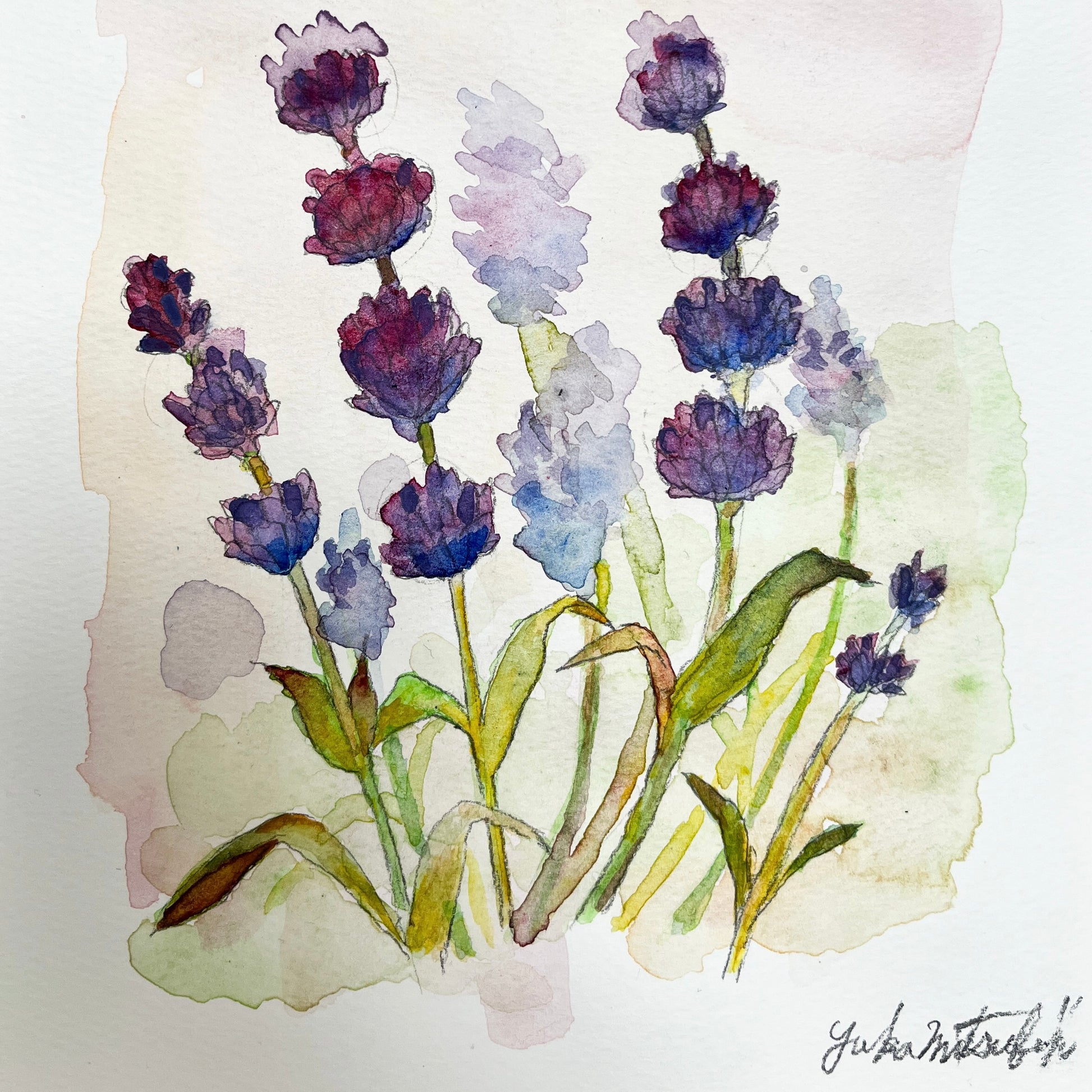 Yuka Mitsufuji（ミツフジ ユカ, 光藤有佳）によるラベンダーの絵。落ち着いた色味のボタニカルハーブ。リラックスしたい時に。